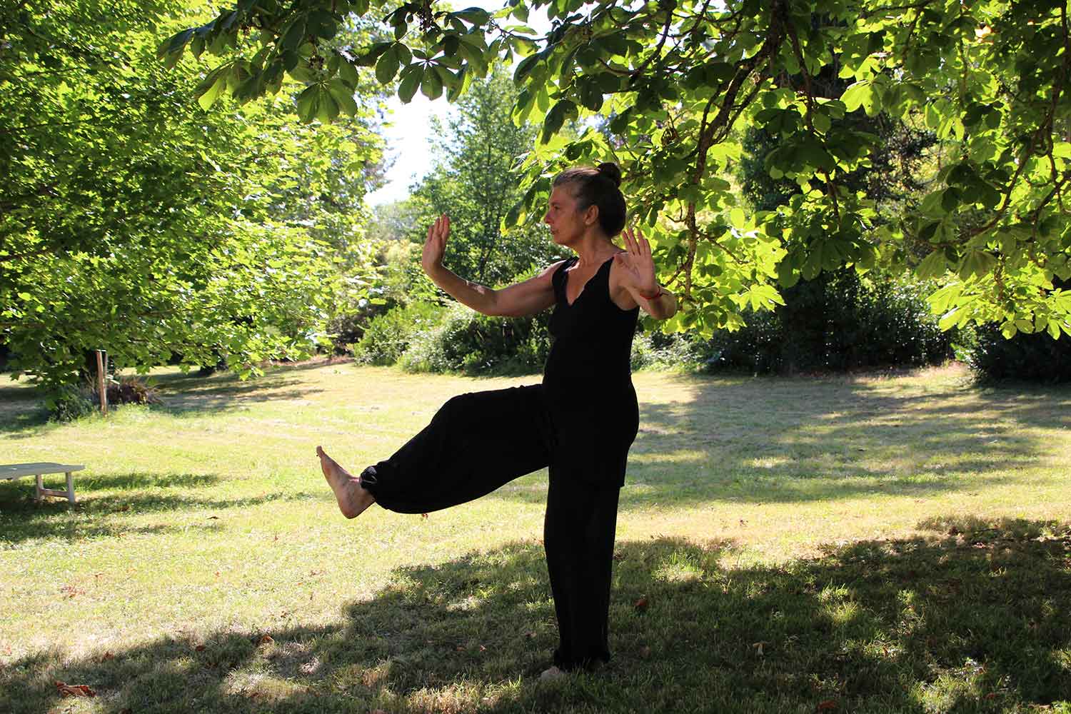 Tai Chi sessions are back! - Haywood Foundation